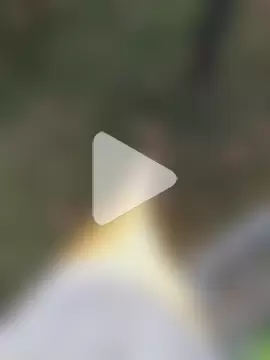 lina_loveee photo 22