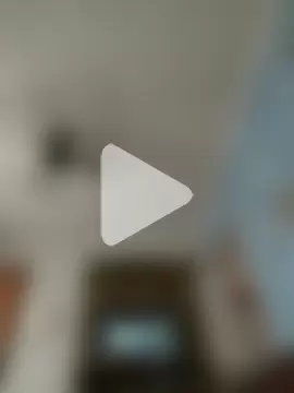 litlleboyeus photo 3