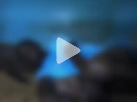 little__joy photo 17