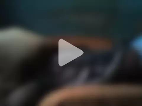 little__joy photo 11