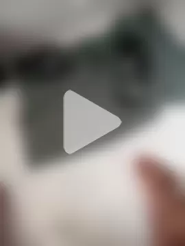 lobomisterioso13 photo 14