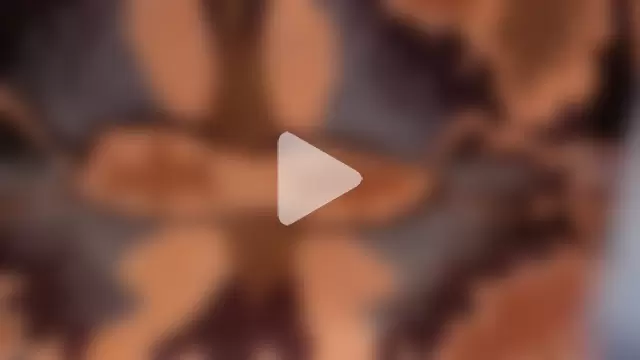 loverboyxxx69 photo 17