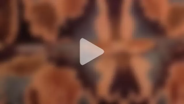 loverboyxxx69 photo 8