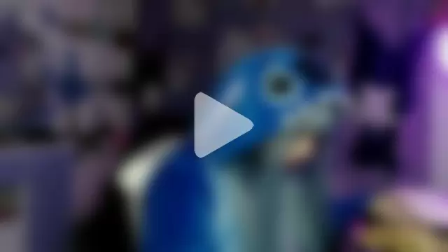 lussyevans24 photo 11