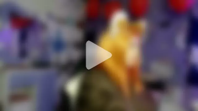 lussyevans24 photo 5