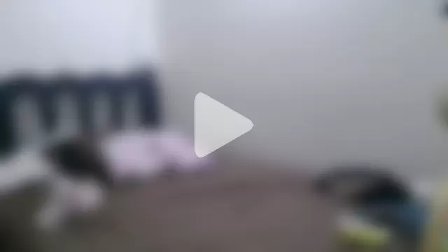 luxandracon23 photo 20