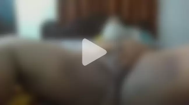 malluboyalex photo 10