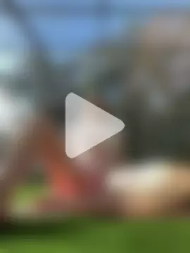 mangolini_parrocini photo 9