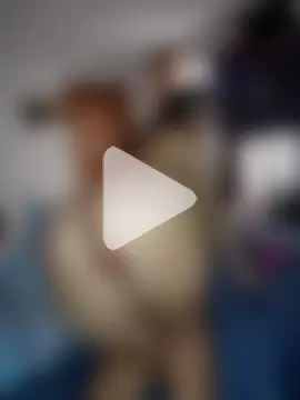 manuela_star photo 22