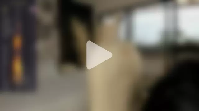 marcuscollins1_ photo 10