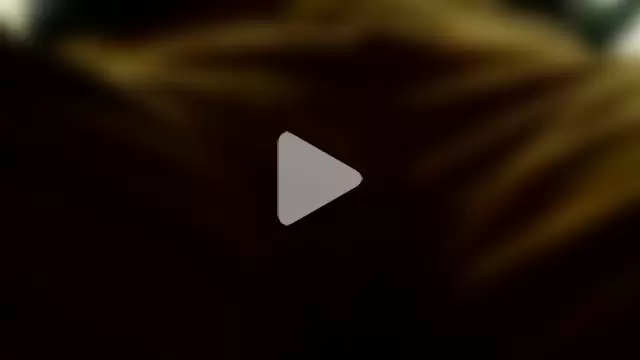 markluvskitty photo 16