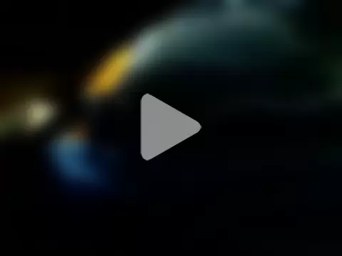 markluvskitty photo 4