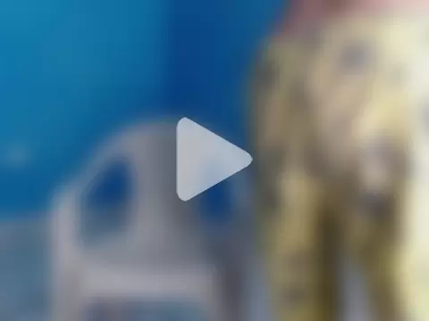 masterbrave420 photo 11