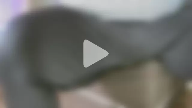 mateo-35audit photo 17