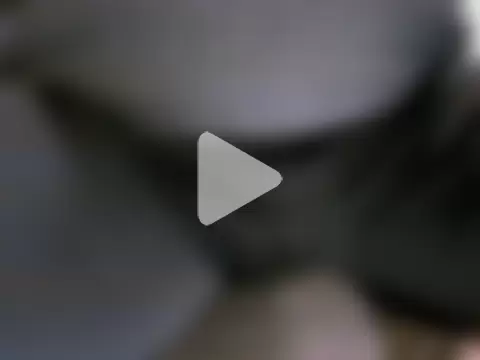 mateo-35audit photo 7