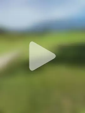 maxmaxmad8502 photo 11