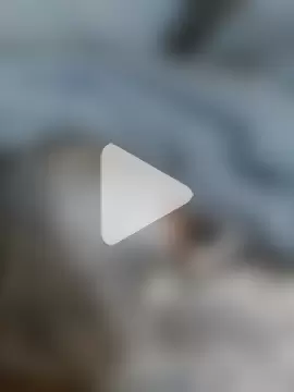 maxxx20202020 photo 16