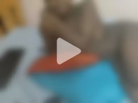 maya_nyla photo 18