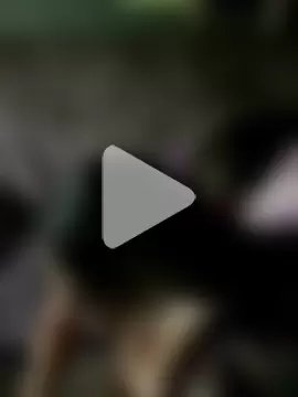 mayra_mayhem photo 14