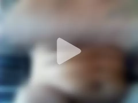 mecanoExhib78 photo 6