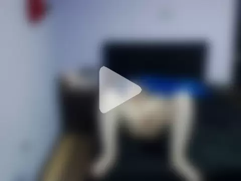 melidsa-w1216 photo 21