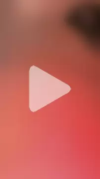 mendelicius photo 25