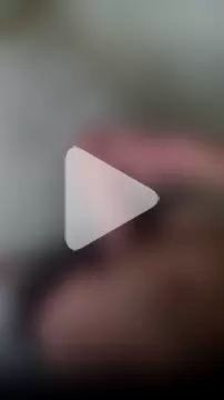 mendelicius photo 14