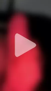 mendelicius photo 13