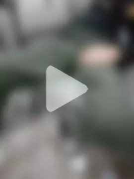 micai_fengbei photo 8