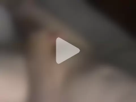 michaelknight101 photo 20