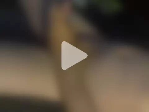 michaelknight101 photo 13