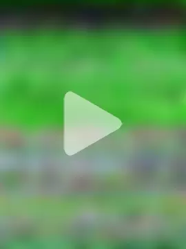 michifolli92 photo 3