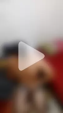 miketripi420 photo 4