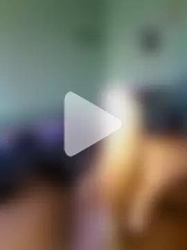 milonhardfuck photo 8