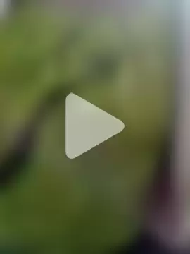 minakshi112233 photo 1