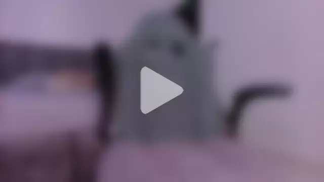 mister_miike photo 17