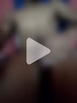 mivergateculeabienrico photo 15