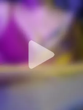 mona-darling_09 photo 1