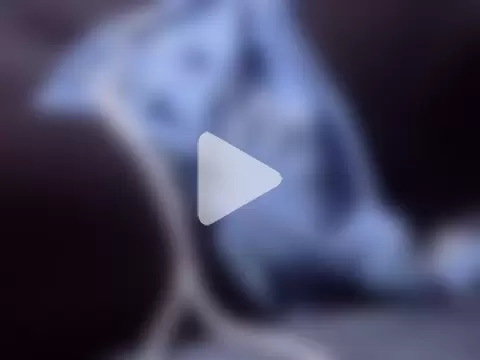 monster-bbc0 photo 19