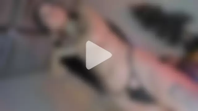 ms_pickless photo 21