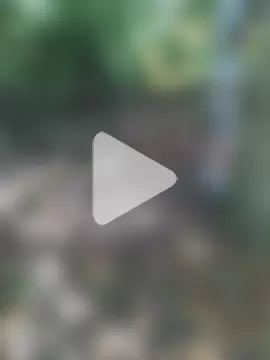 nataliecdlive photo 1