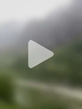 newtube0 photo 11