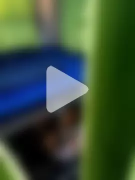 nivedthomas01 photo 21