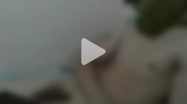 novinho242k photo 13