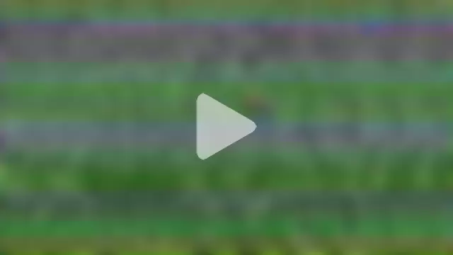 nylonisabella photo 11