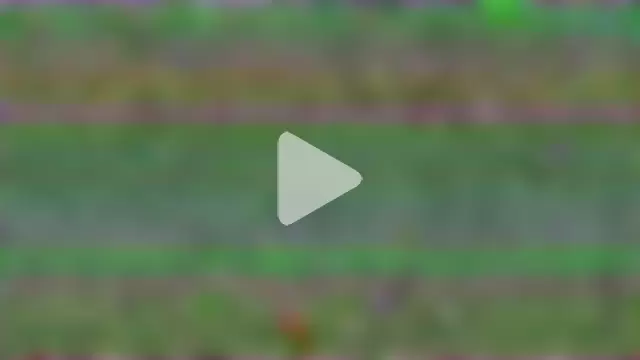 nylonisabella photo 2