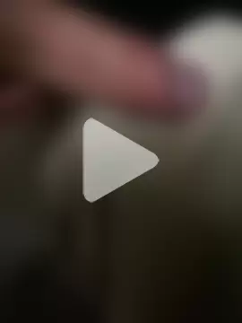 obranquinho21cm photo 3