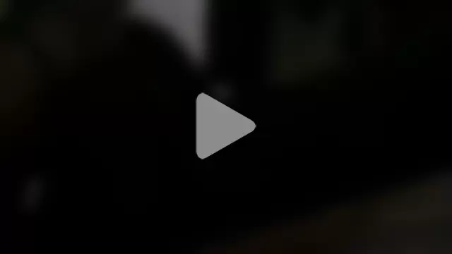 optimalperformance7093 photo 14