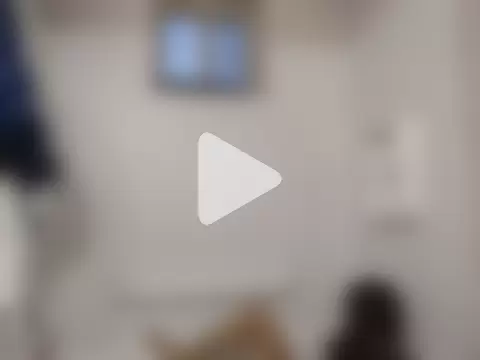 ottomusbrown photo 10