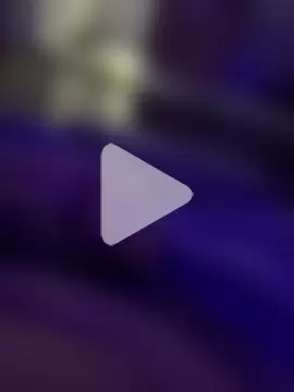 papillon013 photo 19